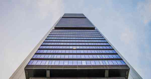 动作动词的句子_动作动词用法