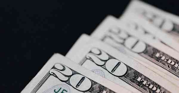 爱动物的人是什么性格