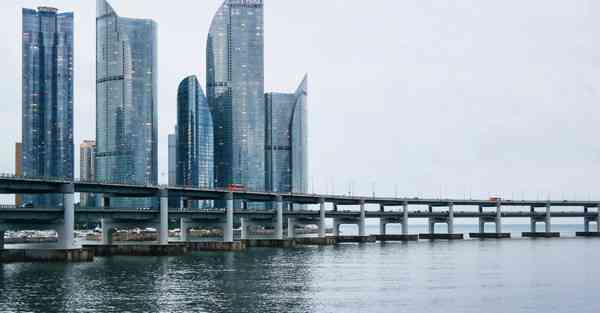 动画片大全免费小猪佩奇_动画片大全免费小猪飞侠