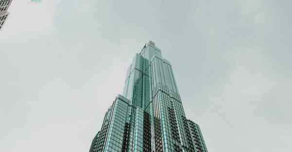 生长动画用什么做的_生长动画用什么软件