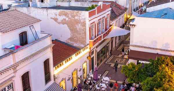 动画片的挖掘机_动画片的挖掘机视频