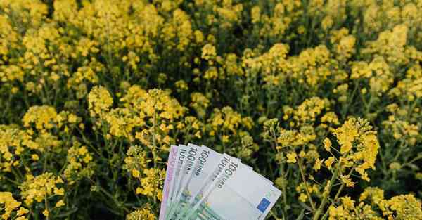 三维动画制作_三维动画制作软件