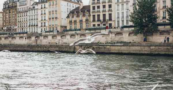 一起看抖音怎么设置_一起看抖音怎么开启