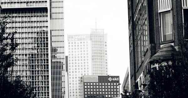 京都动画公司制作的动漫