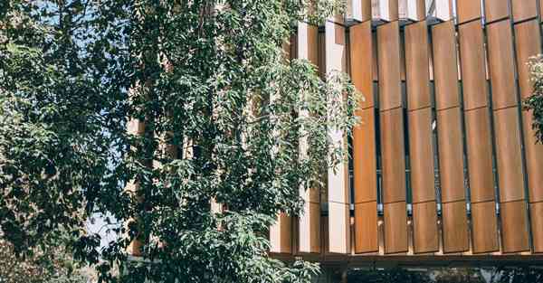 爱情动画电影完整版大全免费观看