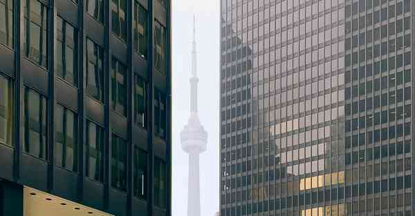 游戏动物园之星steam叫啥