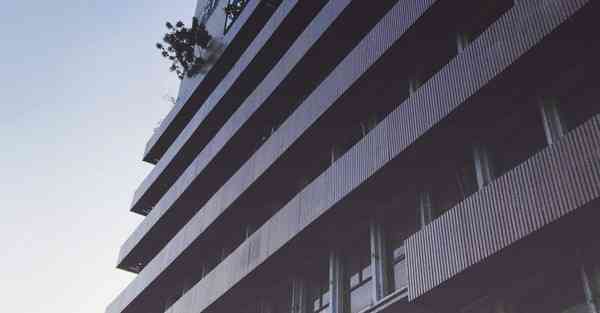 小猫动画合集_小猫动画制作过程