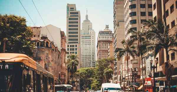 打红蜘蛛什么时间打最好