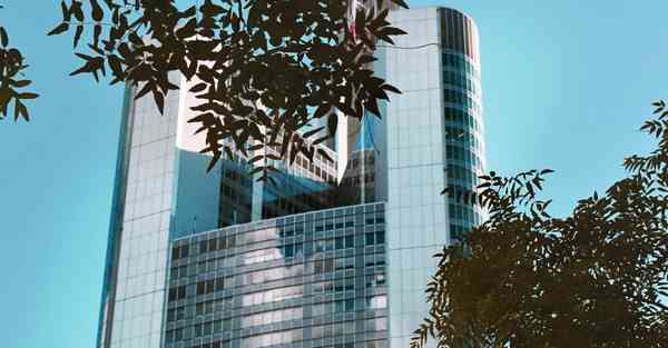 电影是怎样拿到龙标的