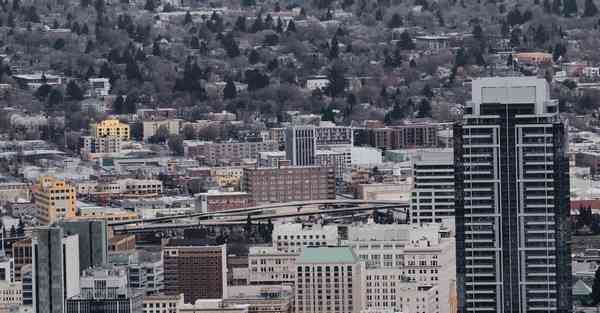如何制作泡椒鸭爪_如何制作泡饼