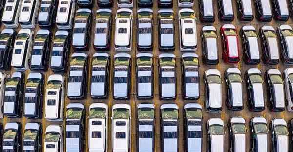 传统动画制作软件_传统动画制作的方式