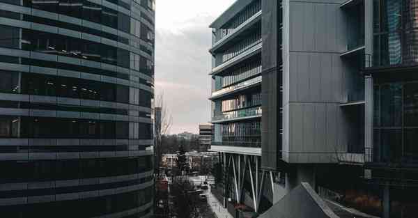 简单的动物图画_简单的动物图画图片