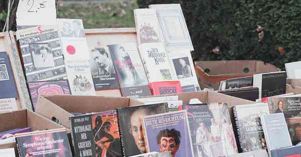 海贼王动画制作团队_海贼王动画制作过程官方