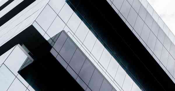 西红柿炖豆腐正宗做法窍门