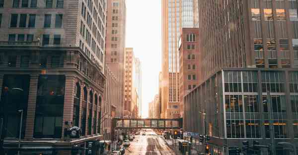 游戏动物园之星steam叫啥