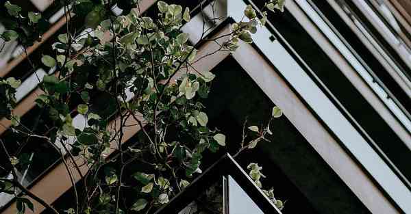 线条动画视频制作_线条动画视频制作教程